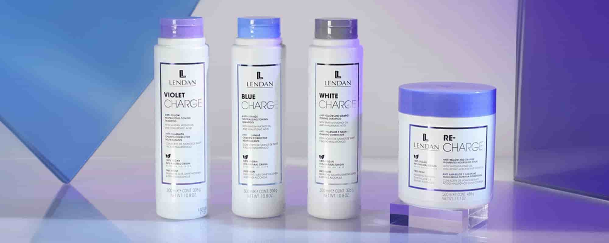 Mechas Babylights en Zaragoza 10 Cuidados para mechas babylight 1