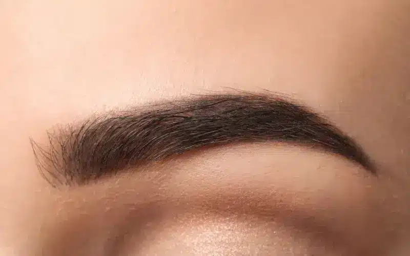 Micropigmentacion de cejas en Zaragoza, Lolas Expertos en Belleza
